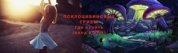 apvp Сафоново