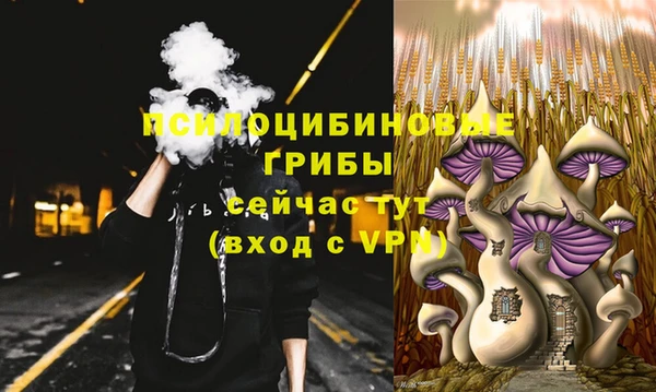 гидропоника Армянск