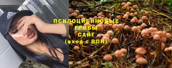 бошки Аркадак