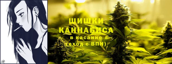 бошки Аркадак
